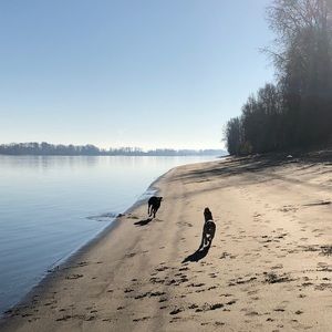 Meet your Posher, Jenny